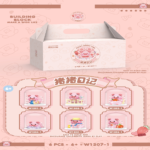 Piggy Diary Gift Box with Cover and Lights (6 Assorted Styles)