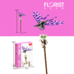 Cherry Blossom Damselfly