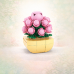 Bubble Blossom Plant