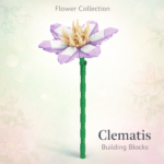 Clematis Flower