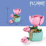 Desert Rose Plant - Image 2